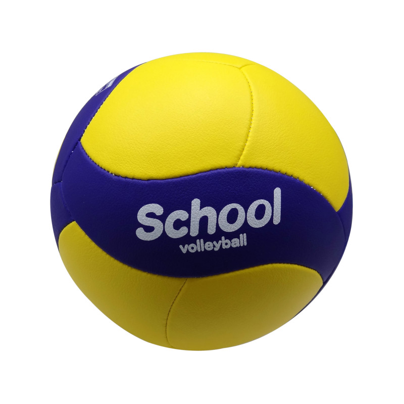 Volleyboll Mikasa School